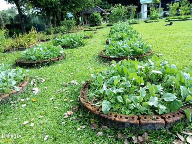 ศูนย์เรียนรู้เศรษฐกิจพอเพียง รพ.สต.บ้านสี่แยกสวนป่า
