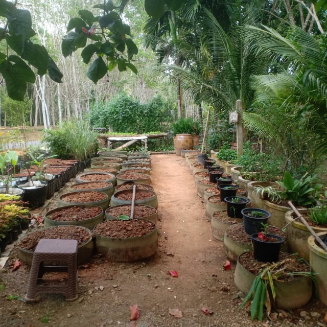 แหล่งเรียนรู้สวนเศรษฐกิจพอเพียง บ้านมูด